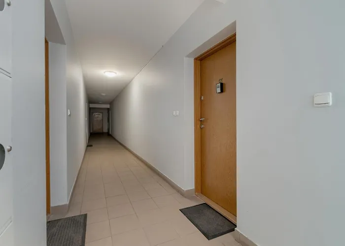 Spacious Ideal For Families By Renters Appartement Poznań